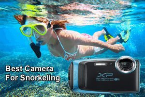 Best Cameras for Snorkeling