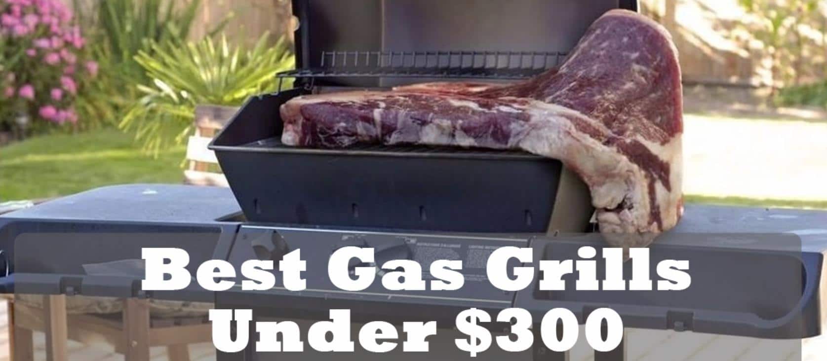 Best Gas Grill Under $300